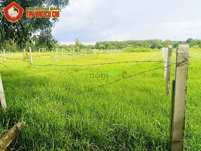 Hình ảnh Bán đất khu dân cư hẻm số 506 - 1000m2 - 10x100 - xã an phú - củ chi