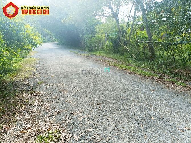 Hình ảnh Bán đất khu dân cư hẻm số 506 - 1000m2 - 10x100 - xã an phú - củ chi