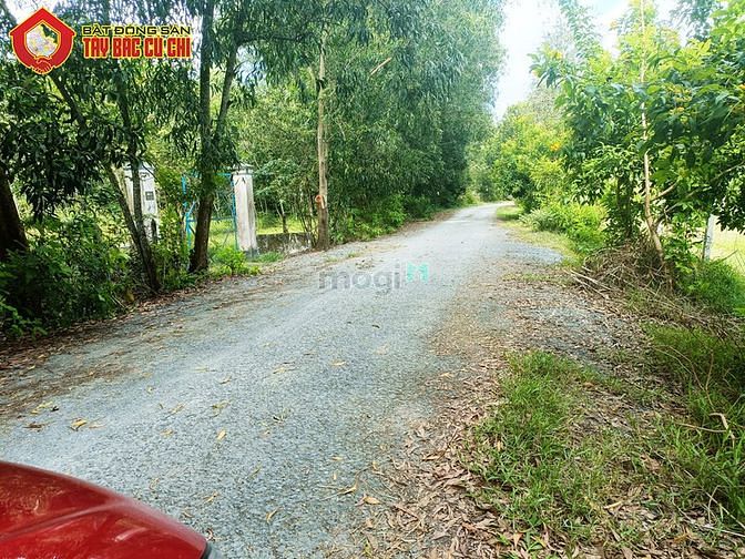 Hình ảnh Bán đất khu dân cư hẻm số 506 - 1000m2 - 10x100 - xã an phú - củ chi