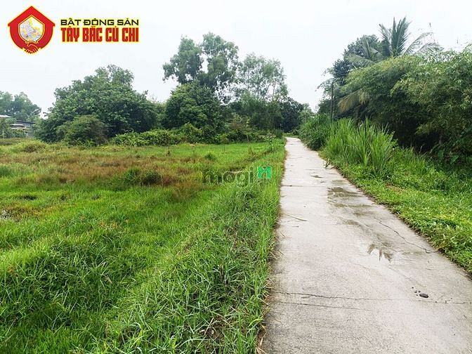 Hình ảnh Bán đất khu dân cư 2/ đường cây gõ - 408m2 - 21x21 cạnh 17m - xã an