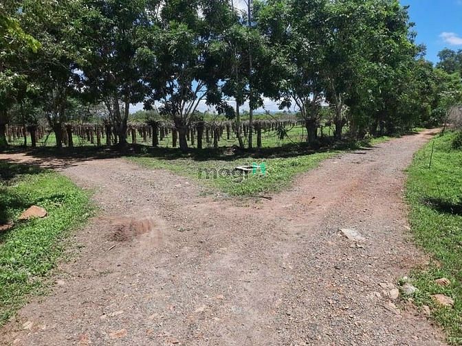 Hình ảnh 2726m2 đất Hàm Thuận Bắc sổ mới có đường