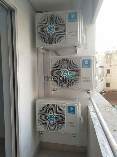 Hình ảnh Cho thuê Trang Chủ MB66.COM / Đăng Ký Tặng 66K Nguyễn Phúc Nguyên