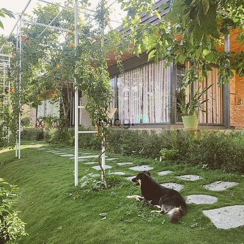 Hình ảnh GĐ tôi có hơn 3000m2 có 150m2 thổ cư đối diện KCN Định Quán cần bán