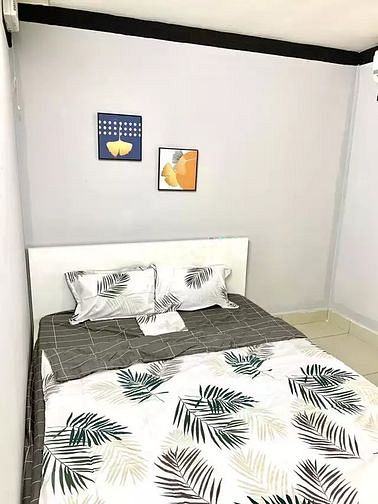 Hình ảnh 🌈 CHDV Cao Cấp - Hầm Xe , Thang Máy , Bảo Vệ - Full Nội Thất CC 🌈