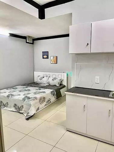 Hình ảnh 🌈 CHDV Cao Cấp - Hầm Xe , Thang Máy , Bảo Vệ - Full Nội Thất CC 🌈