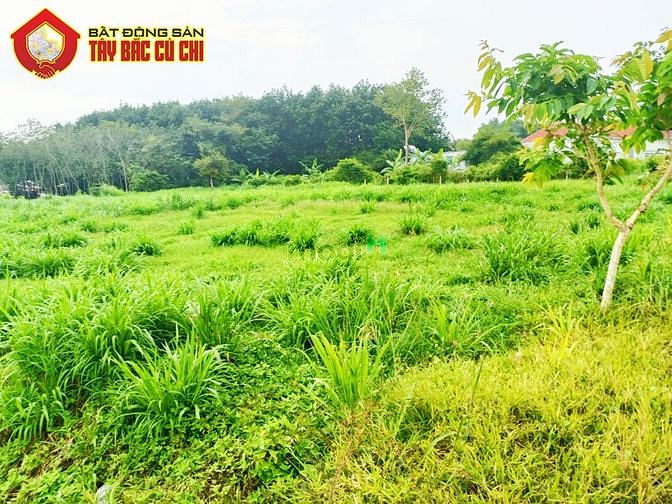 Hình ảnh Đất đường Bà Thiên - 669m2 - 15x45 - 608m2 thổ cư - xã Nhuận Đức