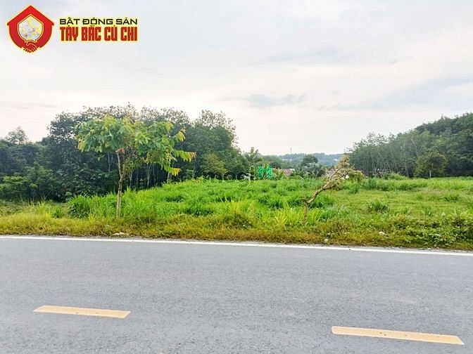 Hình ảnh Đất đường Bà Thiên - 669m2 - 15x45 - 608m2 thổ cư - xã Nhuận Đức