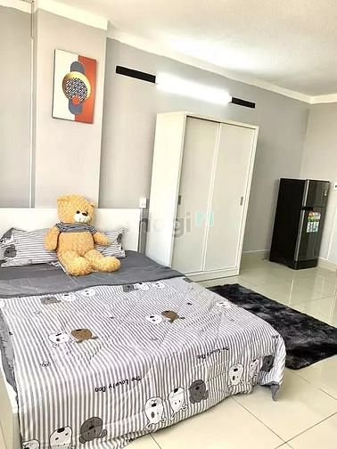 Hình ảnh 🌈 CHDV Cao Cấp - Hầm Xe , Thang Máy , Bảo Vệ - Full Nội Thất CC 🌈