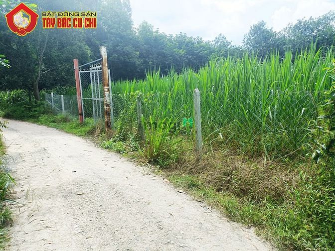 Hình ảnh Đất đường đỗ thị có - 1187m2 - 20x56 nở hậu 23 - xã an phú - củ chi