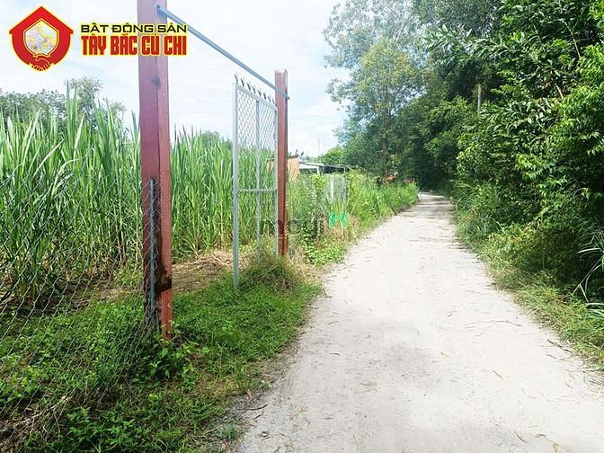 Hình ảnh Đất đường đỗ thị có - 1187m2 - 20x56 nở hậu 23 - xã an phú - củ chi