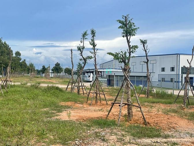 Hình ảnh Bán gấp 150m2 đất thổ cư - cạnh nhà máy kcn - giá 1,6tỉ