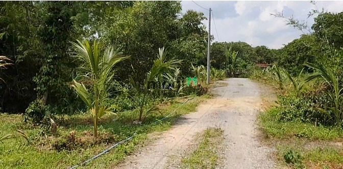 Hình ảnh 944m2 ĐẤT, BÁN giá tuột đáy thu hồi vốn