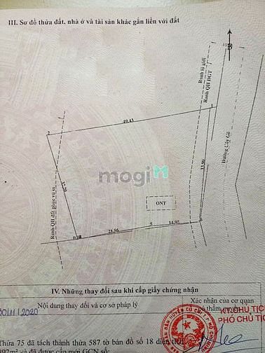Hình ảnh Đất đường cây gõ - 540m2 - 13x41 - 35m2 thổ cư - xã an phú - củ chi