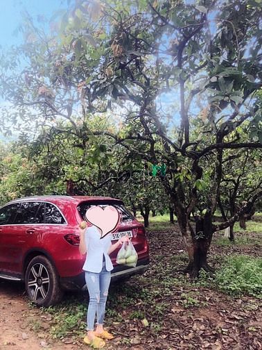 Hình ảnh Bán lô đất vườn +  đất thổ cư, ngay KCN Định Quán, ngang 28m
