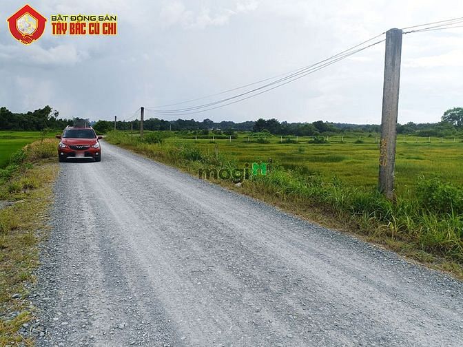 Hình ảnh Bán đất đường 781 - 53x86 - 4400m2 - xã an phú - củ chi