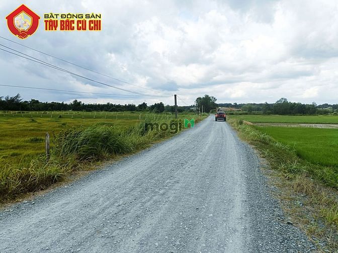Hình ảnh Bán đất đường 781 - 53x86 - 4400m2 - xã an phú - củ chi