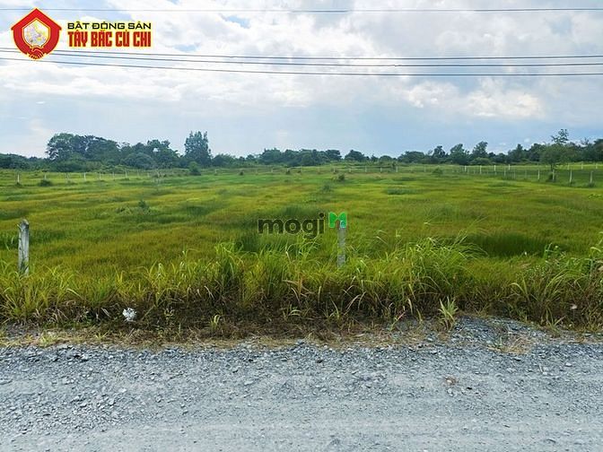 Hình ảnh Bán đất đường 781 - 53x86 - 4400m2 - xã an phú - củ chi