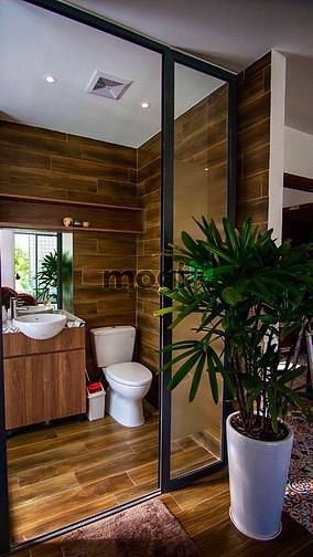 Hình ảnh Căn Hộ Cao Cấp Luxury Tại Q2 🌈🌈