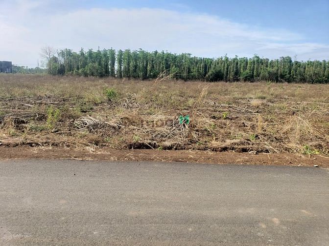 Hình ảnh Bán 1000m2 đất tuyến 5 kcn becamex giá 600tr sổ sẵn