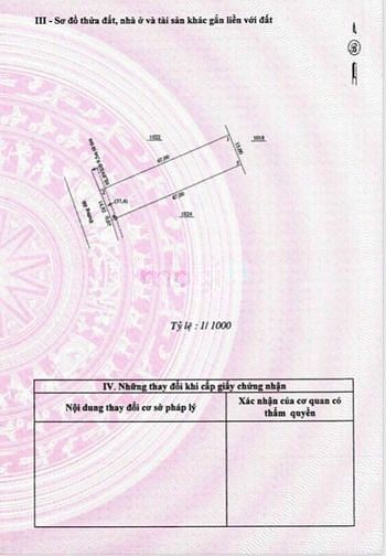 Hình ảnh Bán 1000m2 đất tuyến 5 kcn becamex giá 600tr sổ sẵn