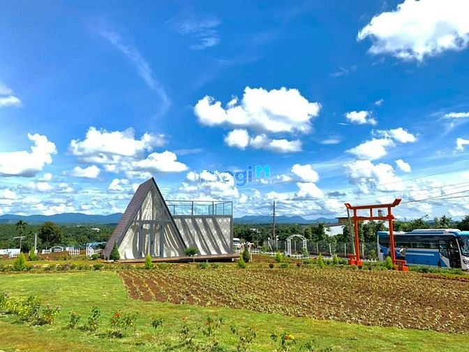 Hình ảnh Mua đất được tặng homestay ???