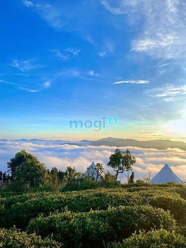 Hình ảnh Mua đất được tặng homestay ???