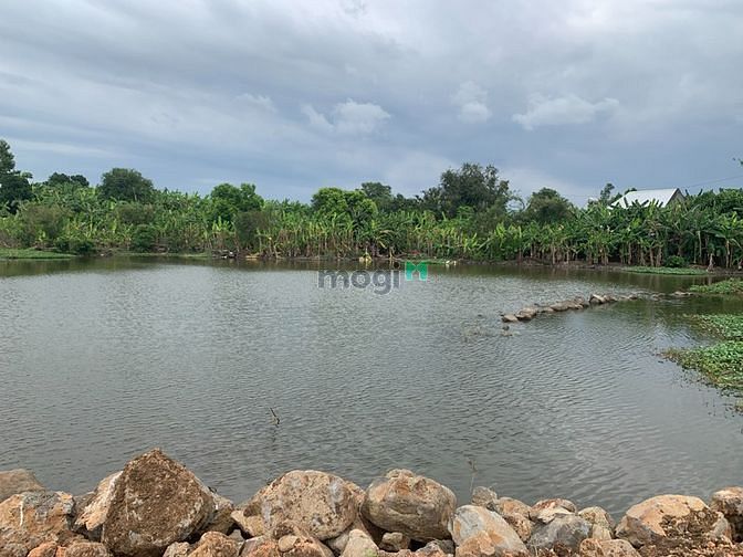 Hình ảnh Đất vườn view hồ, khu dân cư -Sổ Hồng Riêng