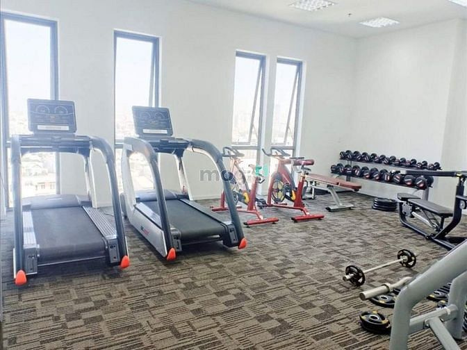 Hình ảnh Cho thuê Trang Chủ MB66.COM / Đăng Ký Tặng 66K D-Vela, Q7- Ntcb, 53m2, 1pn-7.5tr