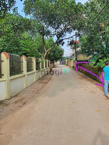 Hình ảnh Nhỉnh 1 tỷ có ngay 70m2 full thổ 5m tiền  Bình yên thạch thất sát khu