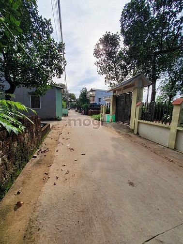 Hình ảnh Nhỉnh 1 tỷ có ngay 70m2 full thổ 5m tiền  Bình yên thạch thất sát khu