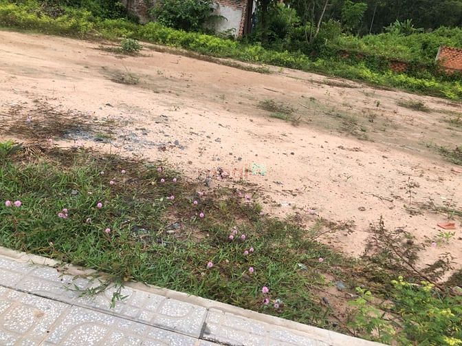 Hình ảnh Đất thổ cư dt 100m2 đường Phước Vĩnh An Củ Chi