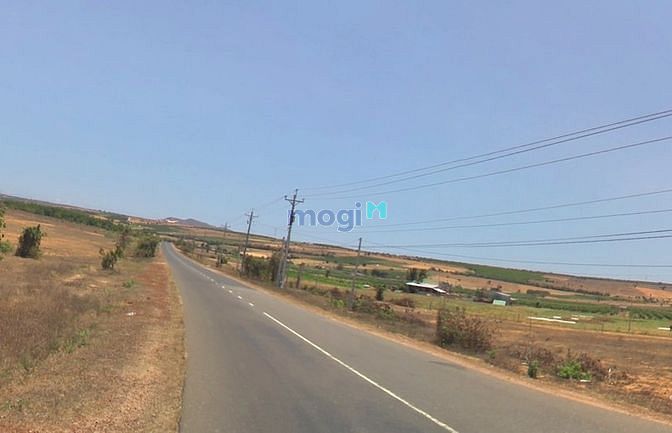 Hình ảnh chủ cần bán gấp đất vườn, 150tr/sào