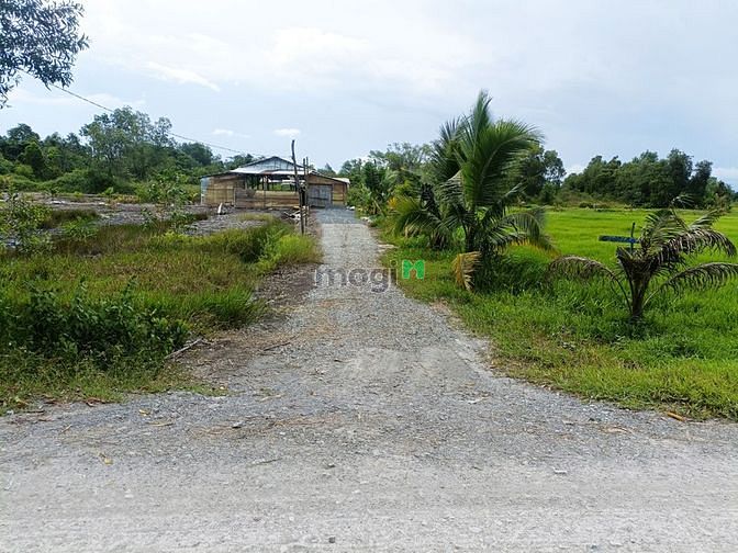 Hình ảnh Bán đất đường 799 - xã An Phú - Củ Chi