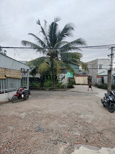 Hình ảnh Bán Đất (372m) 8.4x44, An Phú Đông, Q12 Giá 7.5 Tỷ