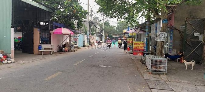 Hình ảnh Đất mặt tiền Tân Xuân 6, sổ riêng, 4.5m x 25m, chỉ 2.7 tỷ