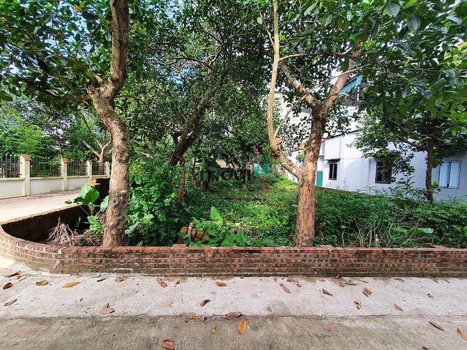 Hình ảnh Hơn 1 tỷ có ngay 70m2 full thổ 5m tiền  Bình yên thạch thất sát khu