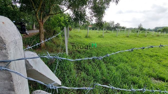 Hình ảnh Bán đất măt tiền hẻm 506 - xã An Phú - Củ Chi