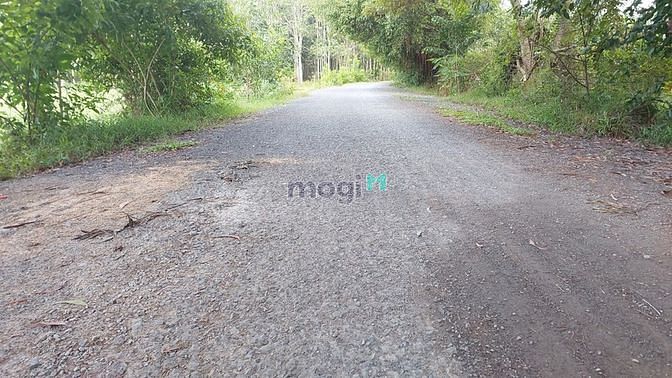 Hình ảnh Bán đất măt tiền hẻm 506 - xã An Phú - Củ Chi