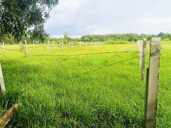 Hình ảnh Bán đất măt tiền hẻm 506 - xã An Phú - Củ Chi
