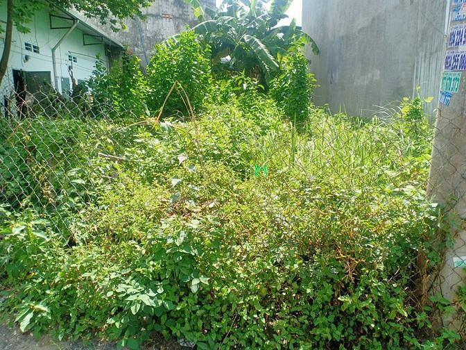 Hình ảnh Bán đất mặt tiền kinh doanh đường số ngay Suối Tiên, quận 9, 190m2.