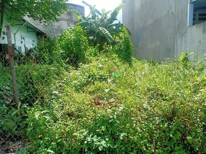 Hình ảnh Bán đất mặt tiền kinh doanh đường số ngay Suối Tiên, quận 9, 190m2.