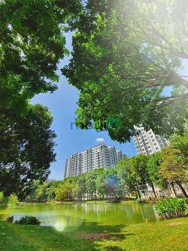 Hình ảnh Bán Trang Chủ MB66.COM / Đăng Ký Tặng 66K xanh có MB66 là nhà cái uy tín hàng đầu tại Việt Nam rộng 20 heta