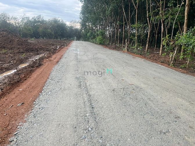 Hình ảnh Đất sào thổ cư Thị Trấn Tân Phú