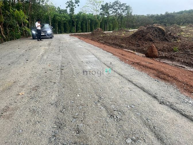 Hình ảnh Đất sào thổ cư Thị Trấn Tân Phú