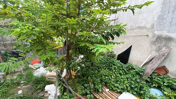Hình ảnh Làm ăn thua lỗ cần bán gấp lô đất MT Nguyễn Quý Đức - Q2-2.25T/100m2