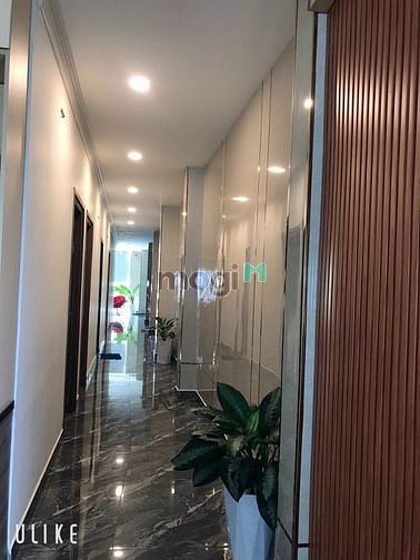 Hình ảnh Cho thuê tòa building mới xây, diện tích sử dụng hơn 1000m2
