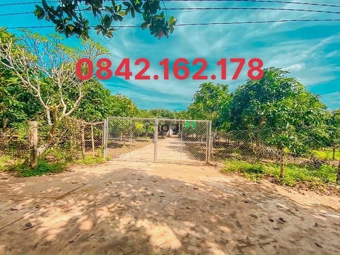Hình ảnh Đất sào full hồng + 100m2 thổ cư ngay Hồ Trị An, cách Ql20 chỉ 2km