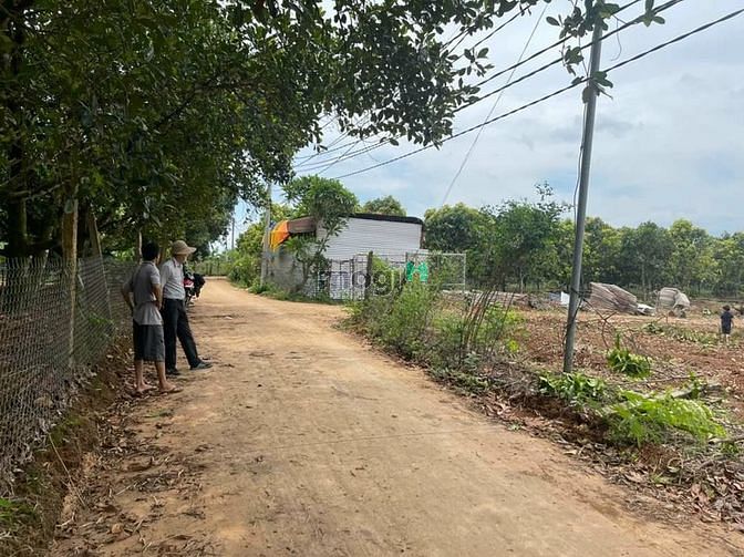 Hình ảnh Đất sào full hồng + 100m2 thổ cư ngay Hồ Trị An, cách Ql20 chỉ 2km