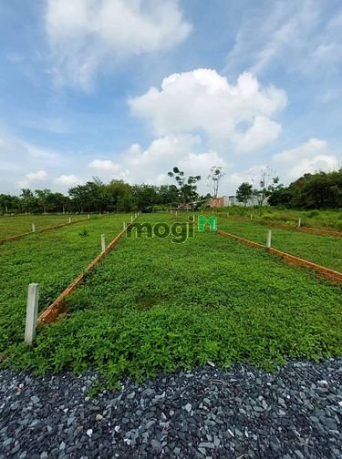 Hình ảnh Gần cầu vượt Củ Chi diện tích 154m2 giá 1,5 tỷ SHR