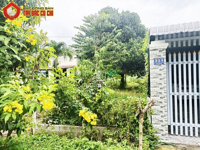 Hình ảnh Bán đất 2 mặt tiền đường Đỗ Đăng Tuyển - 240m2 - 4x60 - 183m2 thổ cư